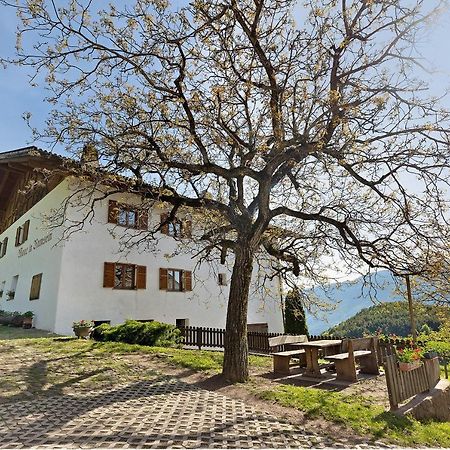 Moar Im Rumsein - Apt Etschblick Сан-Дженезио-Атезино Экстерьер фото